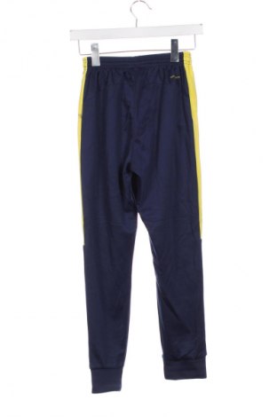 Damen Sporthose Unbranded, Größe XS, Farbe Blau, Preis € 20,99