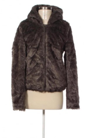 Damenjacke Oviesse, Größe L, Farbe Mehrfarbig, Preis € 28,99
