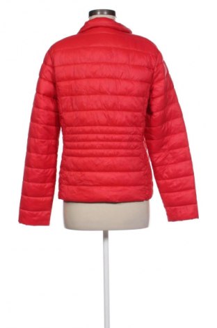 Damenjacke Primark, Größe M, Farbe Rot, Preis 33,99 €