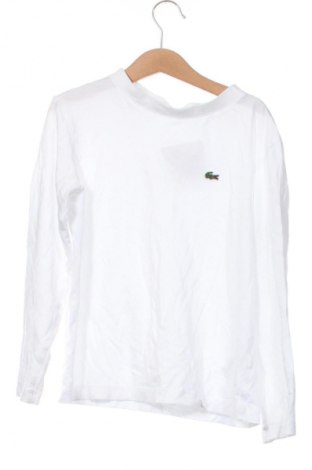 Detská blúzka  Lacoste, Veľkosť 8-9y/ 134-140 cm, Farba Biela, Cena  19,95 €