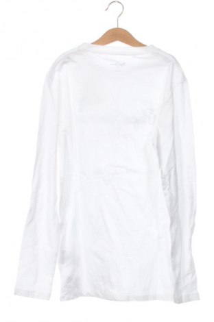 Kinder Shirt Pepe Jeans, Größe 13-14y/ 164-168 cm, Farbe Weiß, Preis 31,99 €