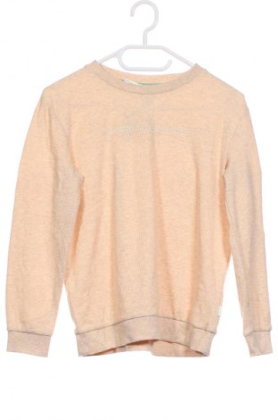 Kinder Shirt Peter Alexander, Größe 11-12y/ 152-158 cm, Farbe Mehrfarbig, Preis € 16,99