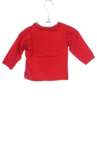 Gyerek blúz Sinsay, Méret 3-6m / 62-68 cm, Szín Piros, Ár 1 699 Ft