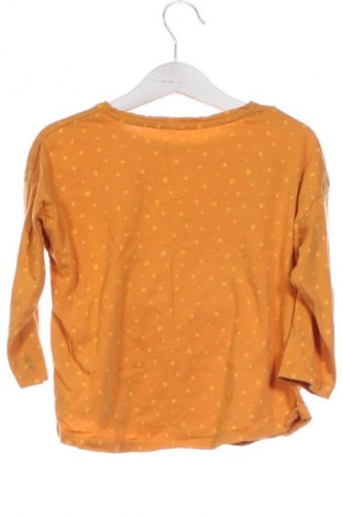 Gyerek blúz Unbranded, Méret 3-4y / 104-110 cm, Szín Sokszínű, Ár 3 073 Ft