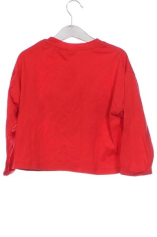 Kinder Shirt Zara, Größe 4-5y/ 110-116 cm, Farbe Rot, Preis 7,16 €
