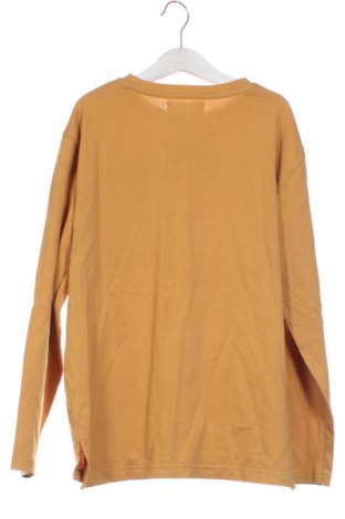 Kinder Shirt Zara, Größe 10-11y/ 146-152 cm, Farbe Braun, Preis 7,19 €
