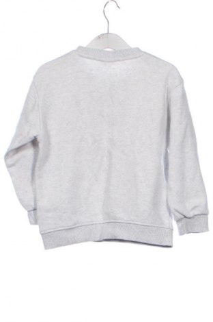 Detská blúzka  Zara, Veľkosť 3-4y/ 104-110 cm, Farba Sivá, Cena  7,19 €