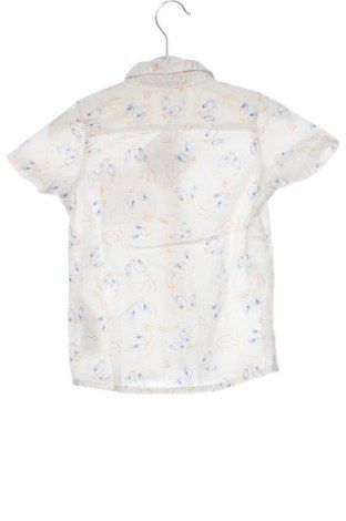 Cămașă pentru copii Looney Tunes, Mărime 18-24m/ 86-98 cm, Culoare Multicolor, Preț 25,99 Lei