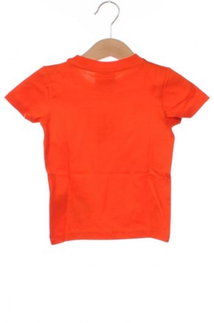 Kinder T-Shirt Champion, Größe 6-9m/ 68-74 cm, Farbe Orange, Preis 23,99 €