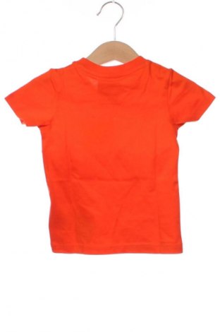 Kinder T-Shirt Champion, Größe 6-9m/ 68-74 cm, Farbe Rot, Preis € 19,99