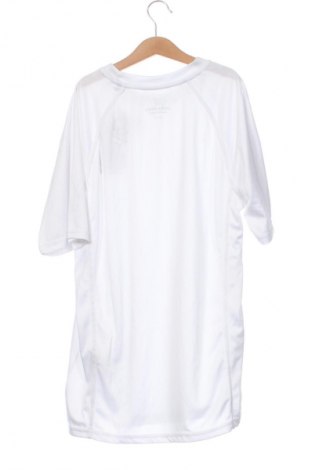 Kinder T-Shirt Jack & Jones, Größe 15-18y/ 170-176 cm, Farbe Weiß, Preis € 19,99