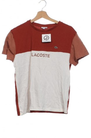 Kinder T-Shirt Lacoste, Größe 15-18y/ 170-176 cm, Farbe Mehrfarbig, Preis 23,99 €
