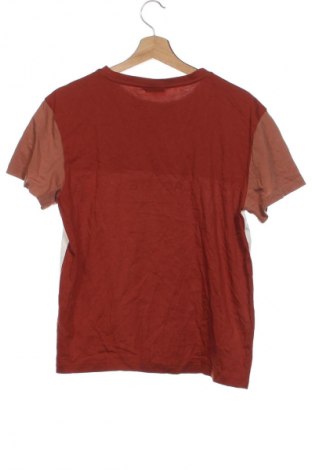 Kinder T-Shirt Lacoste, Größe 15-18y/ 170-176 cm, Farbe Mehrfarbig, Preis 23,99 €