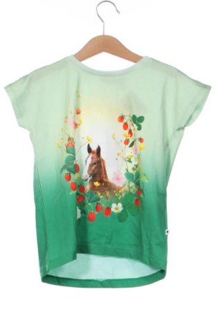 Kinder T-Shirt Molo, Größe 4-5y/ 110-116 cm, Farbe Mehrfarbig, Preis € 32,99