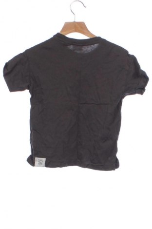 Kinder T-Shirt Zara, Größe 2-3y/ 98-104 cm, Farbe Grau, Preis 6,14 €