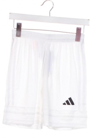 Kinder Shorts Adidas, Größe 10-11y/ 146-152 cm, Farbe Weiß, Preis € 43,99