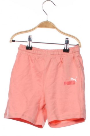 Kinder Shorts PUMA, Größe 2-3y/ 98-104 cm, Farbe Rosa, Preis 42,99 €