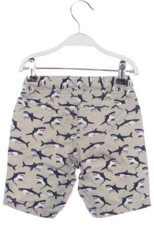 Kinder Shorts Unbranded, Größe 18-24m/ 86-98 cm, Farbe Mehrfarbig, Preis 7,16 €