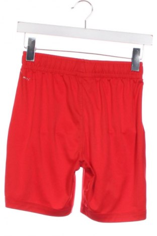 Pantaloni scurți pentru copii Unbranded, Mărime 7-8y/ 128-134 cm, Culoare Roșu, Preț 29,99 Lei