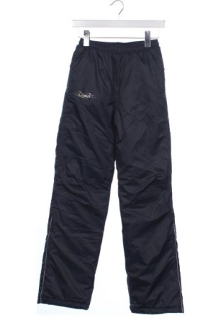 Pantaloni pentru copii pentru sporturi de iarnă Loap, Mărime 12-13y/ 158-164 cm, Culoare Gri, Preț 126,40 Lei