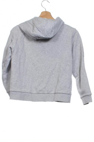 Kinder Sweatshirts Lacoste, Größe 11-12y/ 152-158 cm, Farbe Grau, Preis 33,99 €