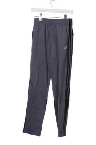 Kinder Sporthose Adidas, Größe 15-18y/ 170-176 cm, Farbe Grau, Preis 23,99 €
