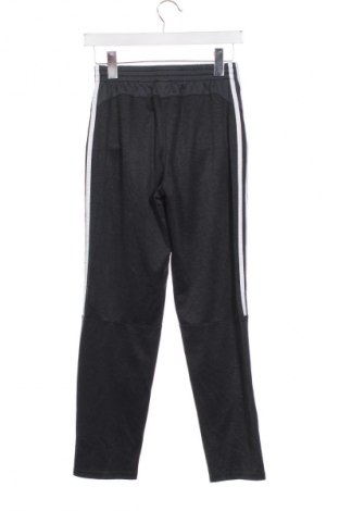 Gyerek sport nadrág Adidas, Méret 13-14y / 164-168 cm, Szín Szürke, Ár 9 219 Ft