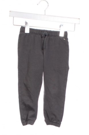 Kinder Sporthose Calvin Klein Jeans, Größe 12-18m/ 80-86 cm, Farbe Grau, Preis € 53,99