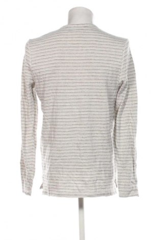Herren Shirt Hollister, Größe L, Farbe Mehrfarbig, Preis 18,99 €