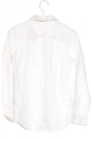 Herrenhemd S.Oliver, Größe M, Farbe Weiß, Preis 23,99 €