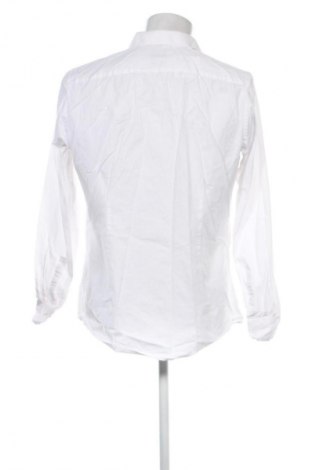 Herrenhemd S.Oliver Black Label, Größe M, Farbe Weiß, Preis 28,13 €