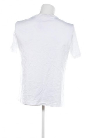 Herren T-Shirt Calvin Klein, Größe XL, Farbe Weiß, Preis € 23,99