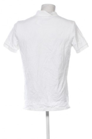 Pánské tričko  Calvin Klein Jeans, Velikost XXL, Barva Bílá, Cena  1 749,00 Kč