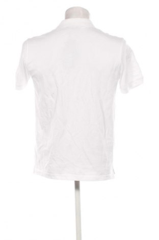 Herren T-Shirt Diesel, Größe M, Farbe Weiß, Preis € 82,99