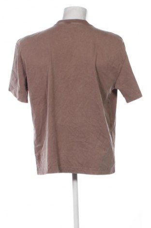 Herren T-Shirt Hollister, Größe L, Farbe Braun, Preis € 8,99