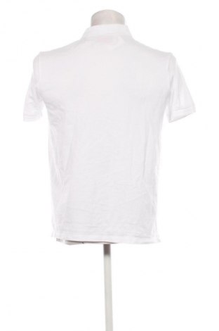 Herren T-Shirt Hugo Boss, Größe L, Farbe Weiß, Preis 70,99 €