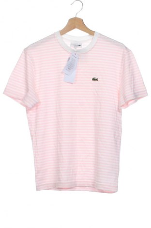 Herren T-Shirt Lacoste, Größe XS, Farbe Mehrfarbig, Preis 48,99 €