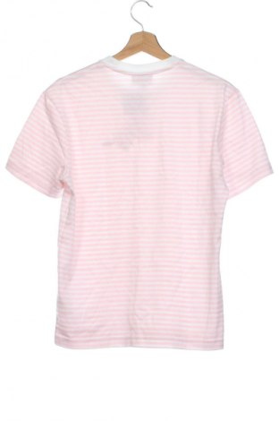 Herren T-Shirt Lacoste, Größe XS, Farbe Mehrfarbig, Preis 48,99 €