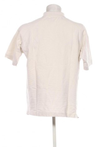 Herren T-Shirt PUMA, Größe XL, Farbe Ecru, Preis 14,00 €
