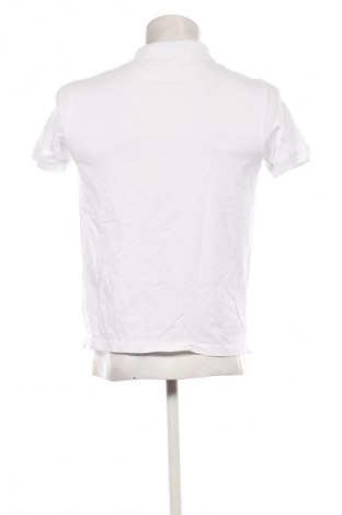 Herren T-Shirt Pier One, Größe L, Farbe Weiß, Preis € 13,99