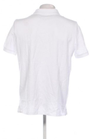 Herren T-Shirt Timberland, Größe L, Farbe Weiß, Preis € 69,99