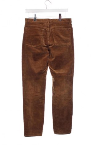 Męskie sztruksy H&M, Rozmiar S, Kolor Brązowy, Cena 44,03 zł