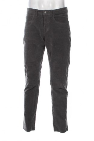 Herren Cordhose Napapijri, Größe M, Farbe Grau, Preis € 49,00