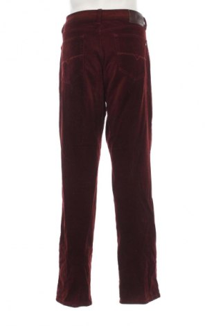 Męskie sztruksy Pierre Cardin, Rozmiar XL, Kolor Czerwony, Cena 157,30 zł