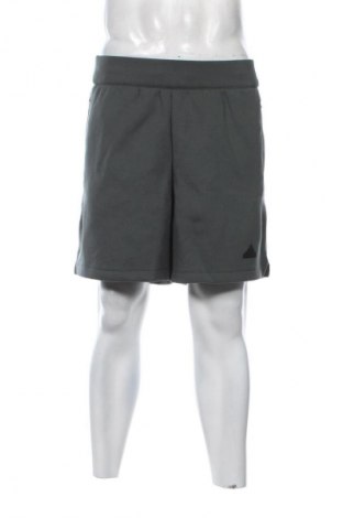 Pánské kraťasy Adidas, Velikost M, Barva Šedá, Cena  1 249,00 Kč