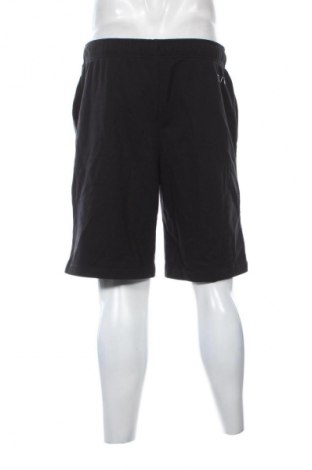 Herren Shorts Champion, Größe M, Farbe Schwarz, Preis € 32,99