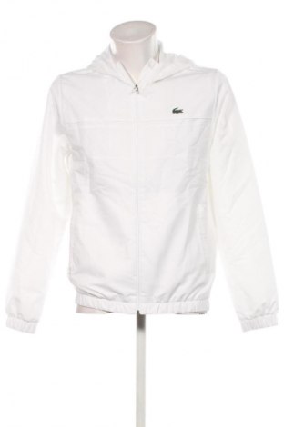 Herren Sweatshirt Lacoste, Größe M, Farbe Weiß, Preis € 134,99