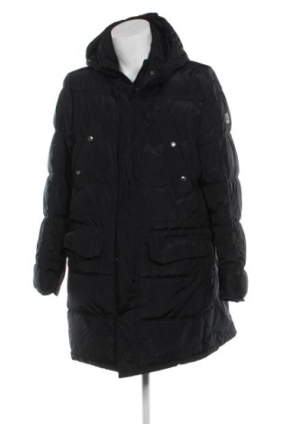 Herrenjacke Cerruti 1881, Größe XXL, Farbe Schwarz, Preis 184,99 €