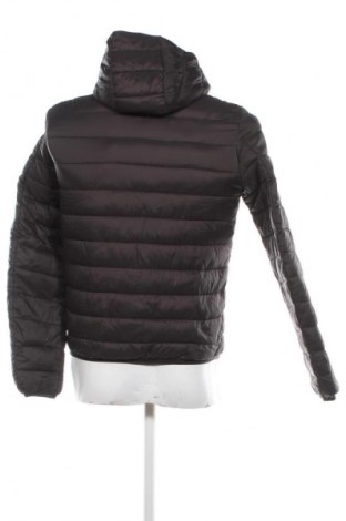 Herrenjacke Clayton, Größe M, Farbe Grau, Preis € 33,99