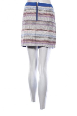 Fustă Gap, Mărime L, Culoare Multicolor, Preț 89,29 Lei